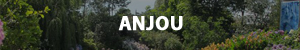 Turismofluvial por Francia: Anjou